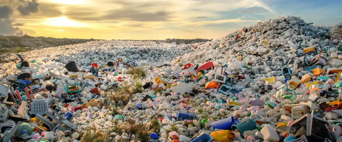 Image of an island of waste